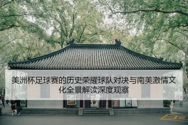 美洲杯足球赛的历史荣耀球队对决与南美激情文化全景解读深度观察